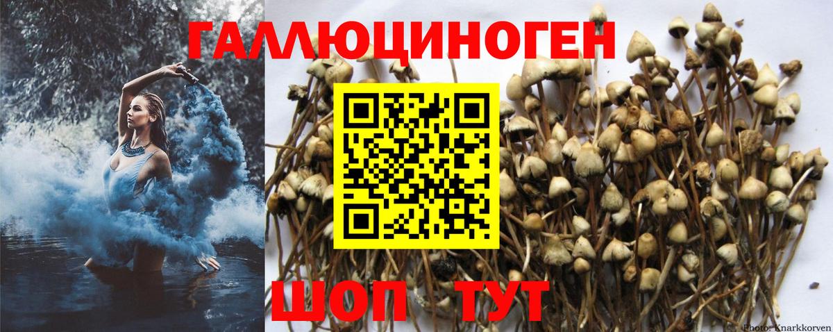 Меф мяу мяу Волоколамск