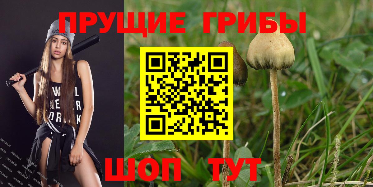 Галлюциногенные грибы ЛСД  Вход с VPN  Волоколамск  Псилоцибиновые грибы мицелий 